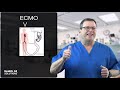 ECMO Explained - What it is and How it Works