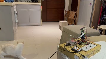 AI Laser Cat Toy with Safety Eye-Protection (Raspberry Pi 4 + Coral TPU)