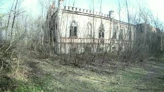 ГДЕ НАХОДИТСЯ КЛАД С МОНЕТАМИ И СЕРЕБРОМ. часть 1 #shorts