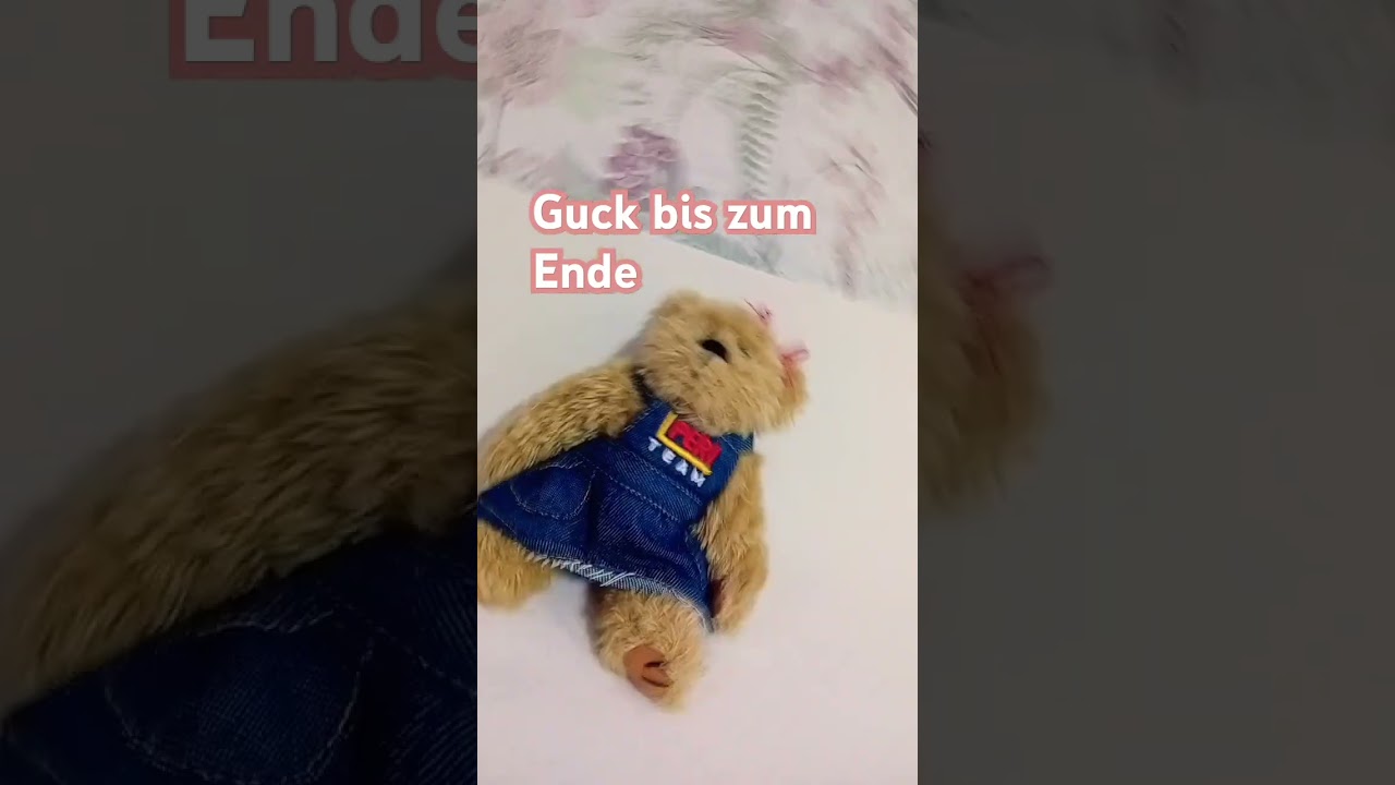 Meine Lieblinge ❤️❤️