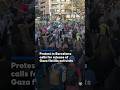 Protest calls for release of Gaza flotilla activists in Barcelona