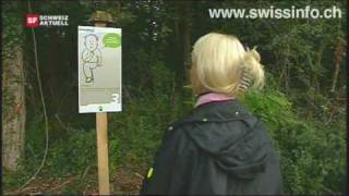 How going for a walk can boost brainpower