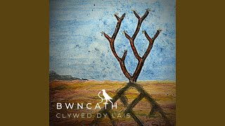 Clywed Dy Lais chords