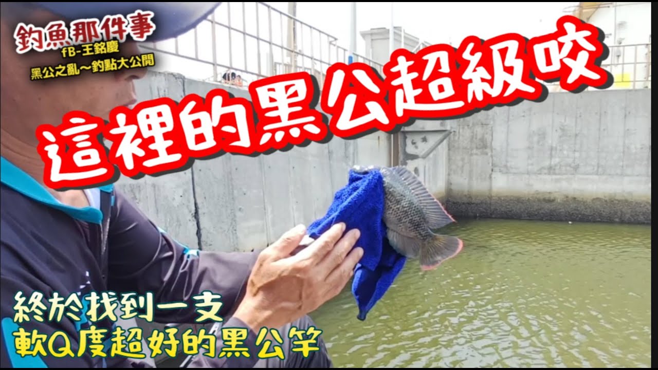 黑公之亂..這裡黑公很漂亮／換了支新手竿，Q軟Q軟.. #黑公 #海吳郭魚