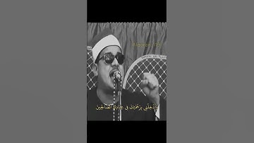 ما لم تسمعه من قبل آيات من سورة النمل بصوت القارئ ممدوح عامر#قرآن #اكسبلور #لايك #birds #حالات_واتس