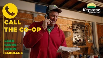 Embrace | Call the Co-op