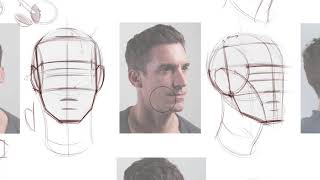 Head Drawing, Part 3: Perspective of the skull and cheek