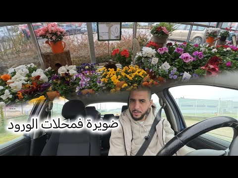 آجي ضرب معايا ضويرة فمحلات الورود