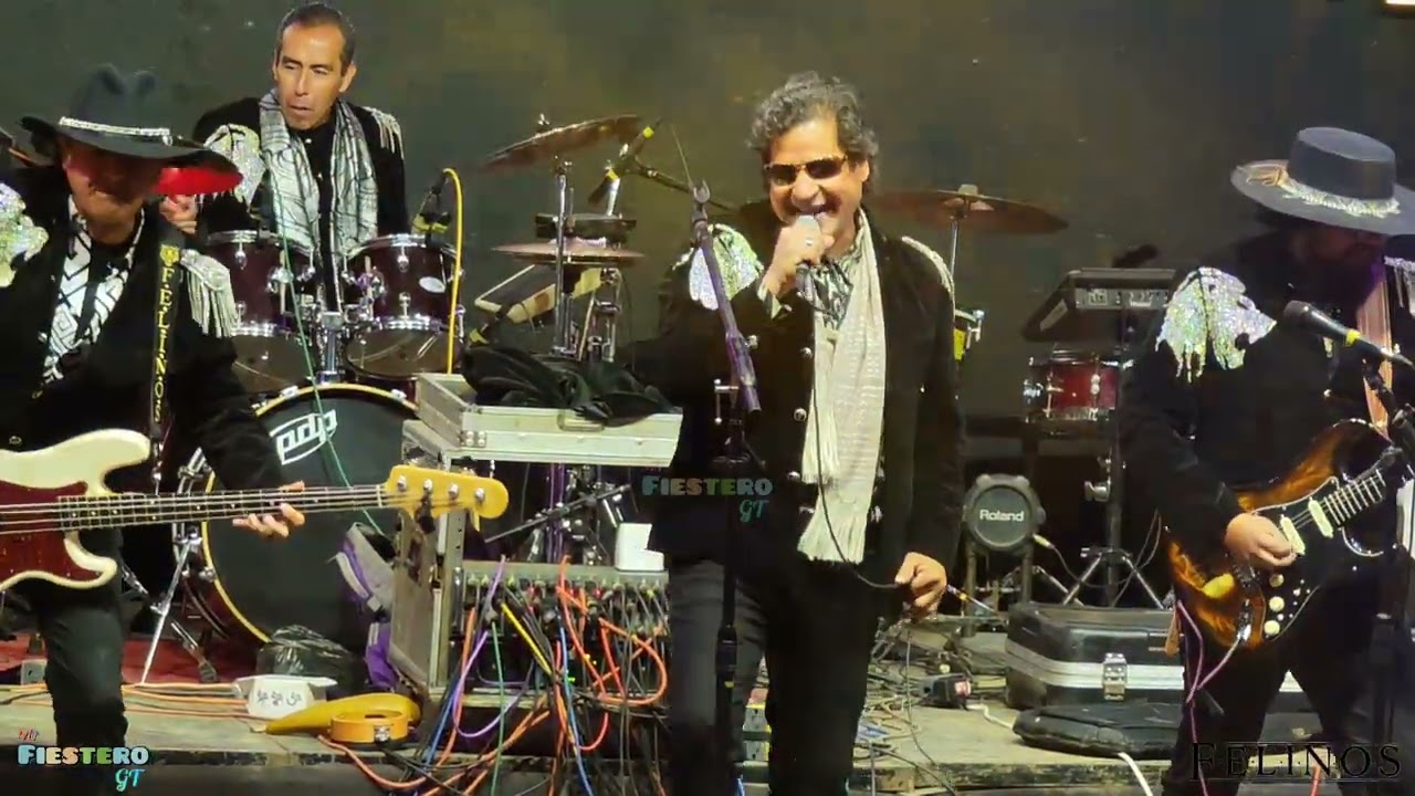 LOS FELINOS, Concierto INTERNACIONAL en Cho pascual Antonio,Chivarreto. 5 feb 2026