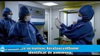 GMO | OMG French Documentary with Scientific Evidence {RO} subtitle