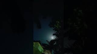 “4K Full Screen Status 🔥 | Short Video”“30 Sec WhatsApp Status 💯 | Trending Reel”“Black Screen