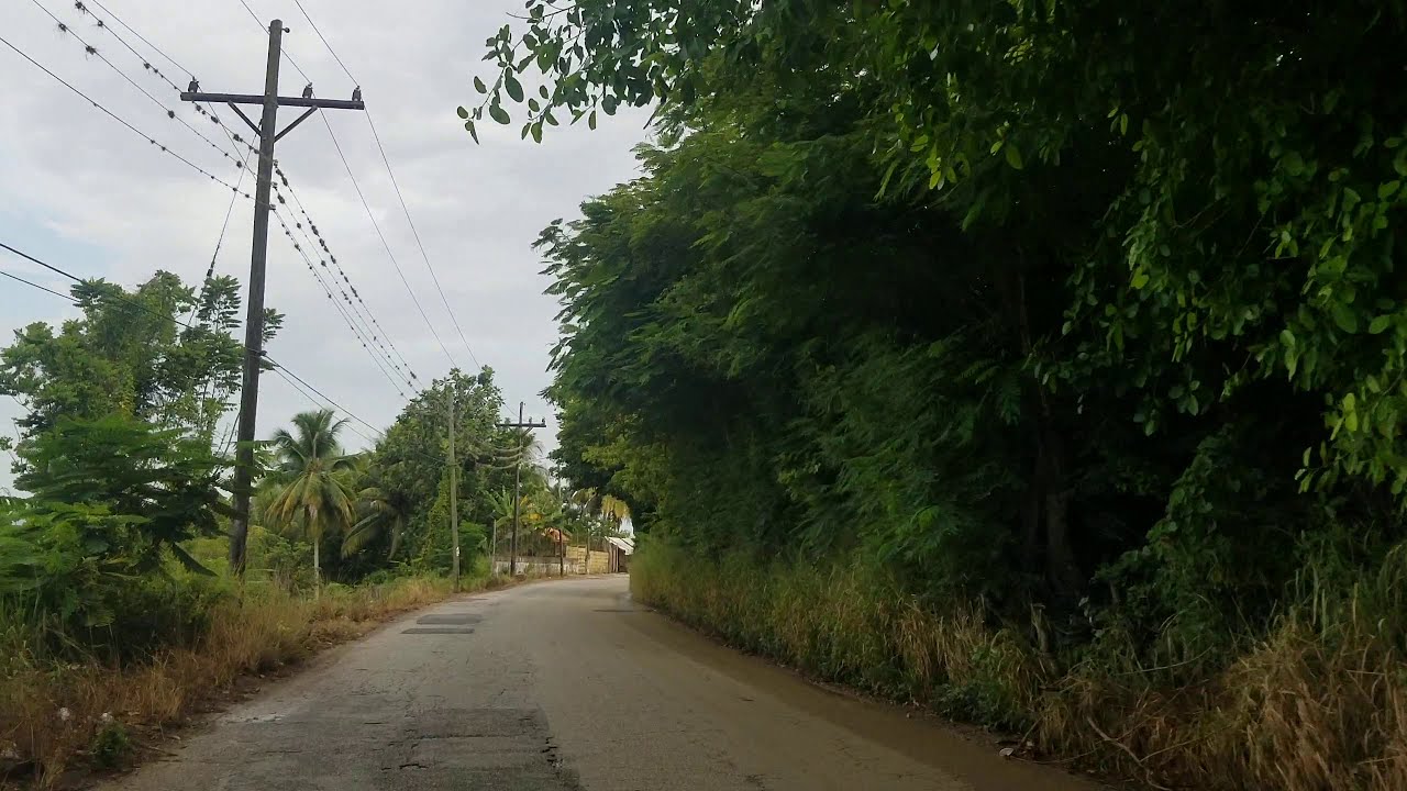 Middle Quarters St Elizabeth Jamaica YouTube