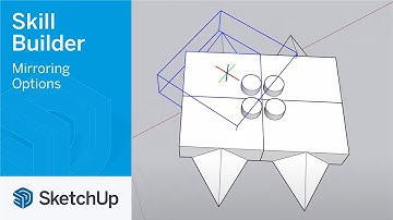 Mirroring Options - Skill Builder