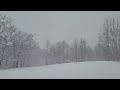 Lynn woods snowstorm 12323