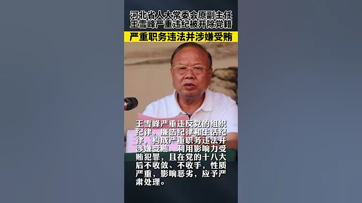 河北省人大原副主任王雪峰退休5年被查，拉票賄選，大肆買官賣官。 - 天天要聞