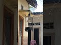 si curong sudah mulai ngriwik,4 hari sudah bunyi pake nekstar kesukaannya 👍🏼👍🏼
