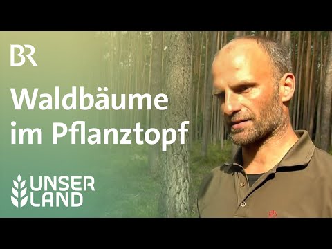 Video: Welche Pflanzen wachsen an Land?