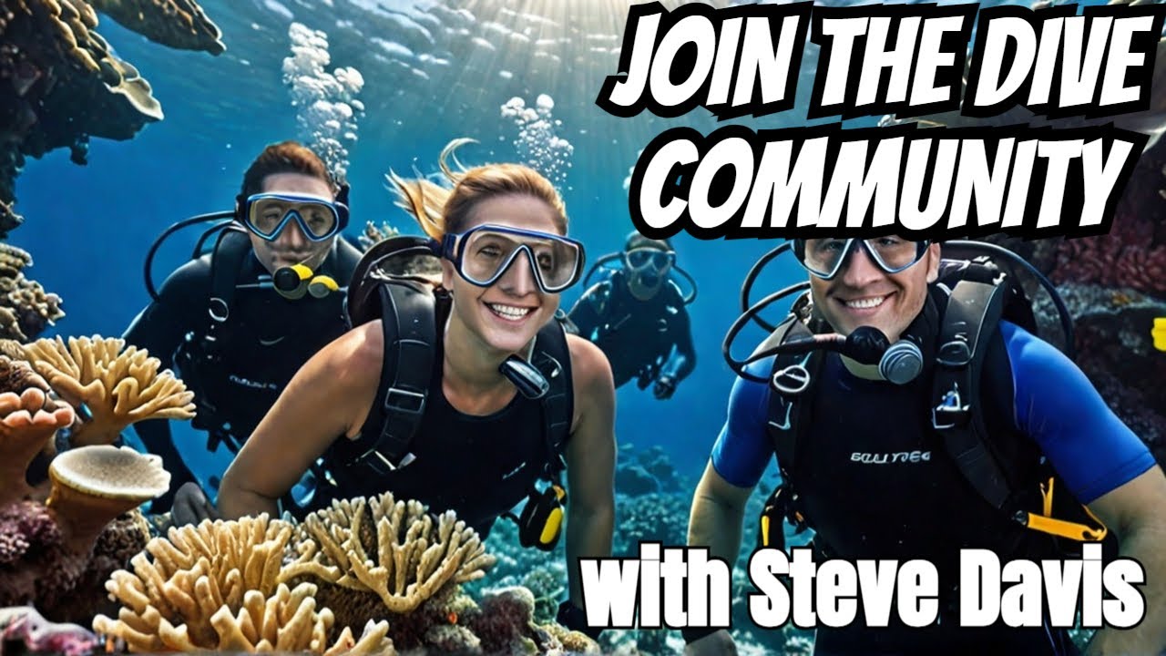 Diving: A Community That Keeps You Looking Forward - YouTube