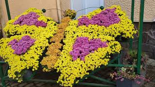 картинка: ОТДЫХ в САНАТОРИИ//