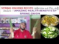 Spring Onions Recipe (ఉల్లికాడలు ఒక గొప్ప మల్టీ విటమిన్)! Amazing Health benefits of Spring Onion