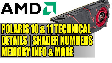 AMD Polaris 10 & 11 Technical Details | Shader Numbers, Memory Info, Clock Speed & More