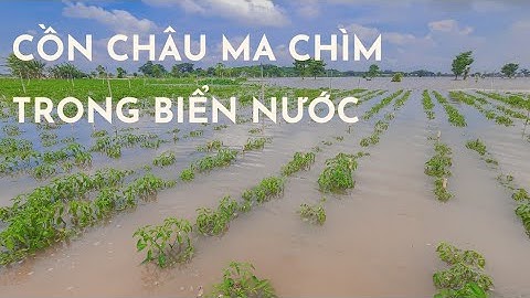 CỒN CHÂU MA CHÌM TRONG BIỂN NƯỚC