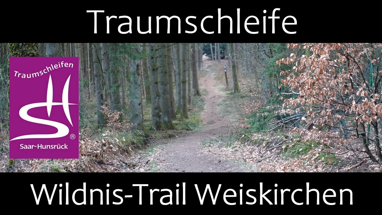 Wildnis-Trail Weiskirchen | Saar-Hunsrück Steig | Wanderung | Premiumwandern | 66709 Weiskirchen