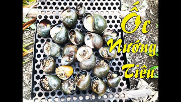 Bợm Miền Tây | Ốc nướng tiêu - Tập 3