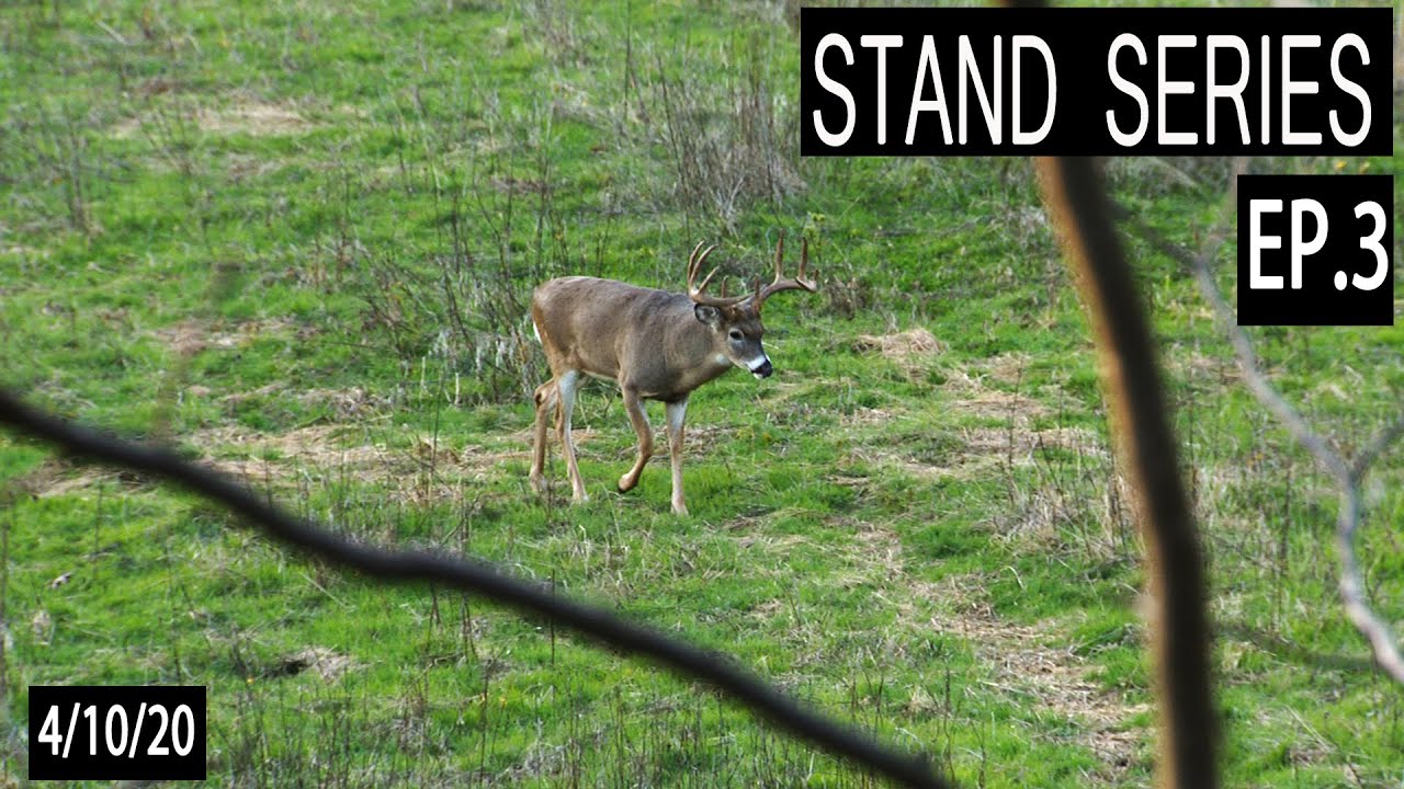 Stand Series Ep.3 : Staging Area Plots