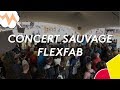 Palo 2019  flexfab en concert sauvage
