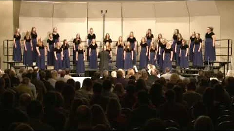 The Lark Ascending - Spevacek