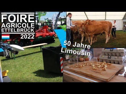 Foire Agricole Ettelbrück