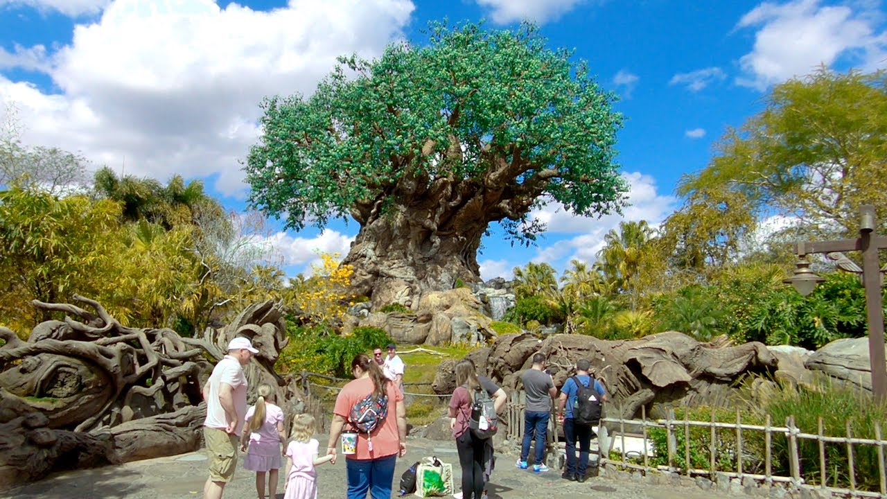 tour of animal kingdom