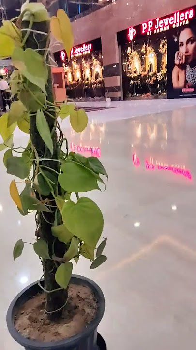 #hindisong #bollywood #movie