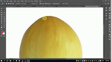 Học Photoshop: Làm quen công cụ chọn Magic Wand và Quick Selection trong Photoshop