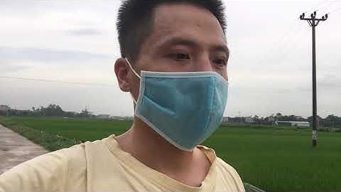 Học nhiều ngoại ngữ cùng lúc có bị loạn không? | Tiếng Anh Grabbike