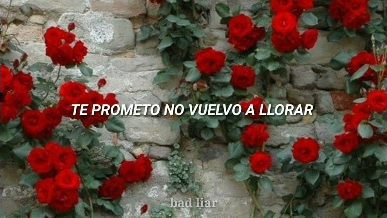 A Quien Tú Decidiste Amar Sandoval