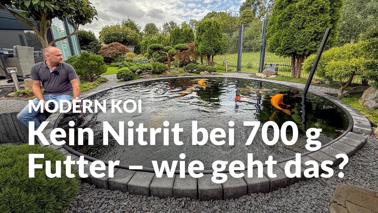 Eine Wasseranalyse an Marco und Anjas Teich | Modern Koi Blog #8051