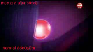 Mucizevi Uğur Böceği Değişik Dönüşümleri Açıklamayı Okuyunuz