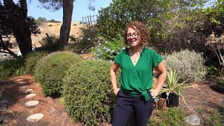 14 Meadowview Dr. Novato, CA Real Estate Video