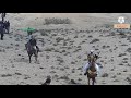 عرس نايلي فرسان مرسط وفرسان سوق اهراس وفرسان تبسة وفرسان ام البواقي بواد الكباريت 2017 عرس نايلي فرسان مرسط وفرسان سوق اهراس وفرسان تبسة وفرسان ام البواقي بواد الكباريت 2017