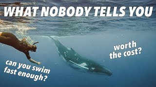 The Truth About Swimming With Whales: French Polynesia 2023