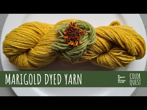 HOW TO DYE YARN WITH MARIGOLD, ORGANIC COLOR