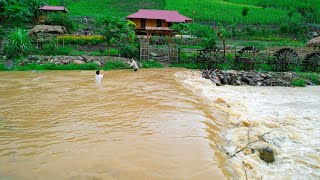 Overcoming mother nature's Floods - SANG VY lets the ducks swim and takes care of the garden - Farm