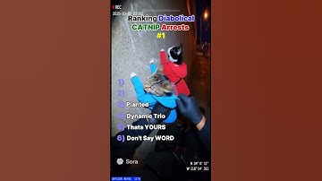 Top 5 Most Diabolical Catnip Arrests Caught on Camera (Ranking Feline Felons) 🚔🐱