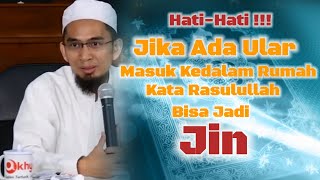 Hukum Membunuh Ular Yang Masuk Kedalam Rumah | Ustadz Adi Hidayat Lc Ma #dakwahsunnah #uah #motivasi