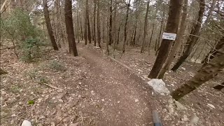 Linea Pezzey - Monte Morello
