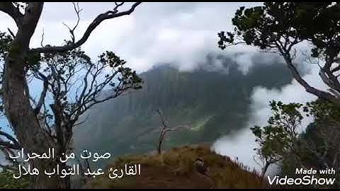 سورة غافر القارئ الشيخ عبد التواب هلال