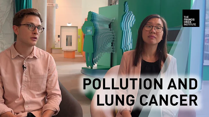 Researchers discuss link between air pollution and lung cancer - DayDayNews