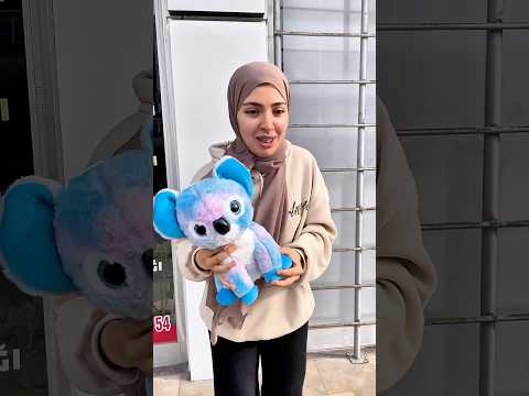 عفراء الحراميه سرقت دب كوالا لأدم انكشفت     